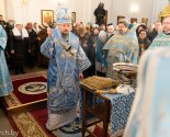 images/2025/V_prazdnik_Sreteniya_Gospodnya_Patriarshiy_Ekzarh_sovershil2739897.jpg